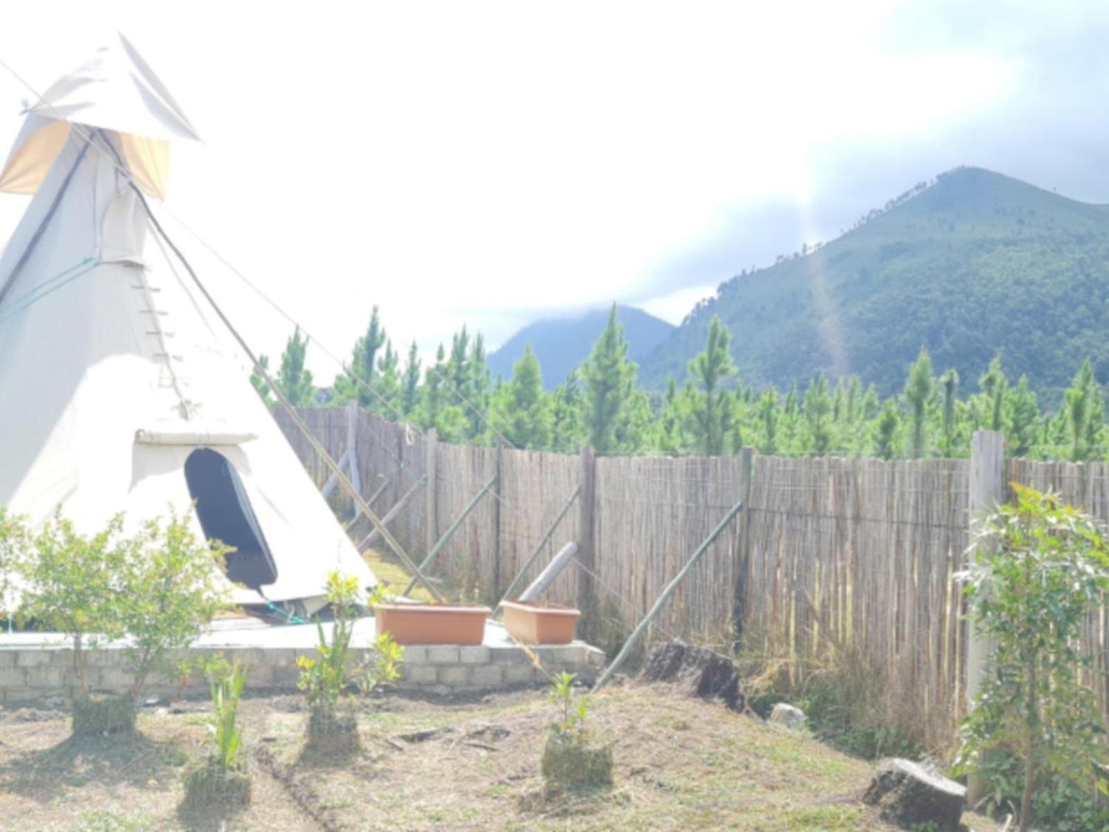 Tsitsikamma Wolf Sanctuary Eco Cabins & Teepees Stormsrivier Zimmer foto